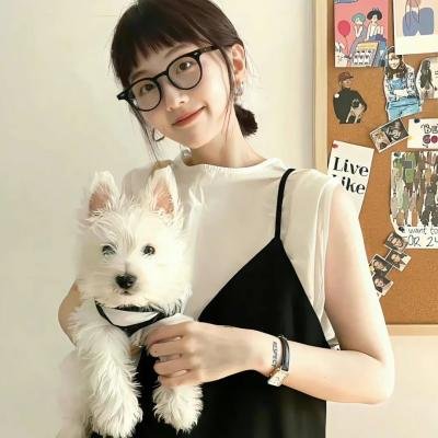 青春谎言之旅